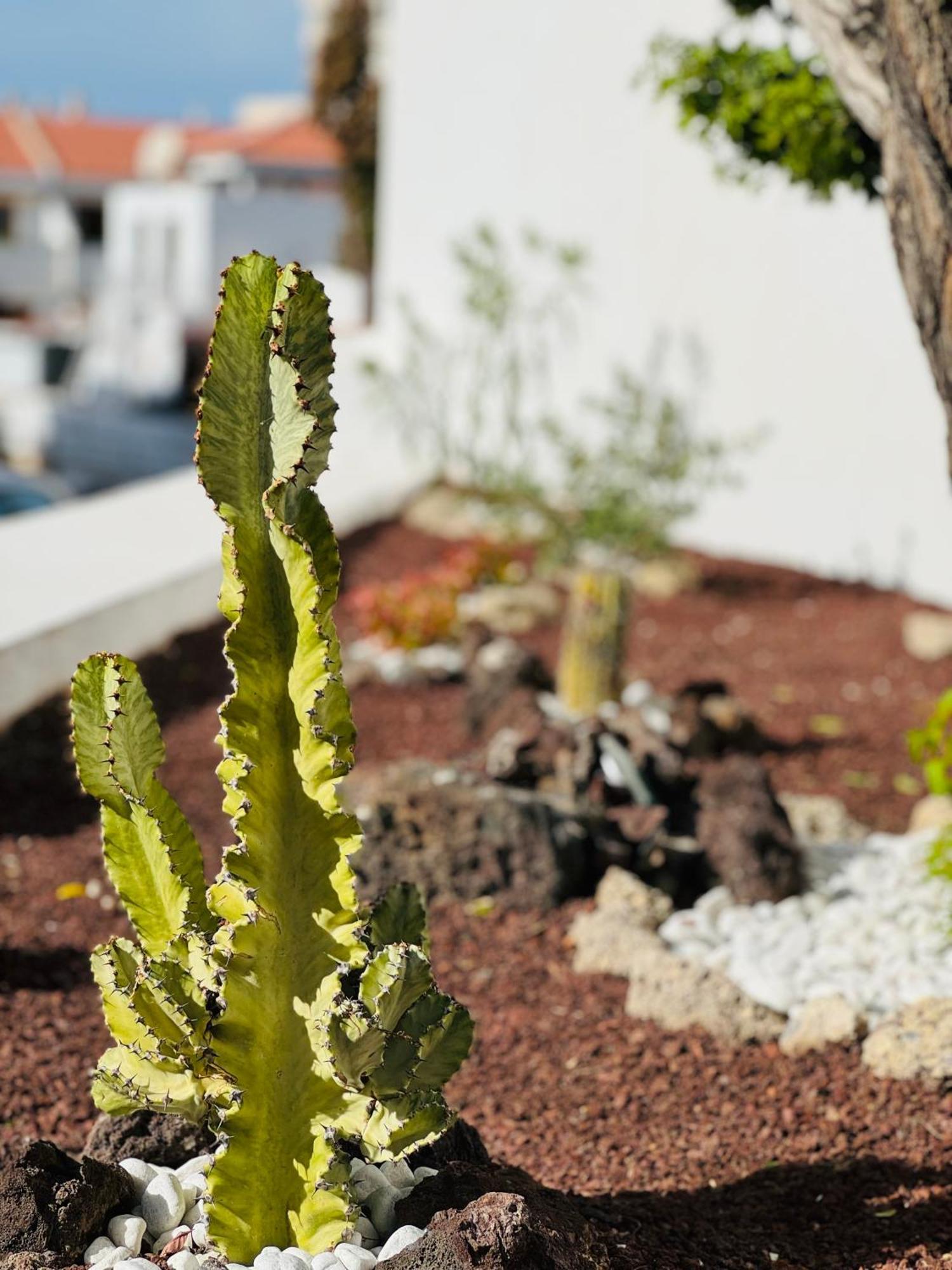 Garden Private Costa Adeje Apartamento *