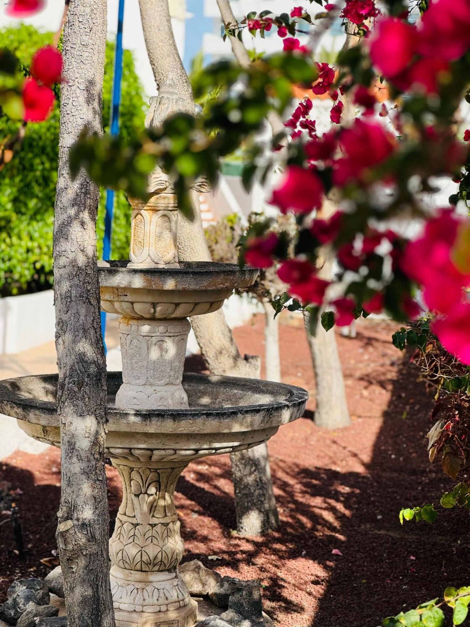 Apartment Garden Private Costa Adeje